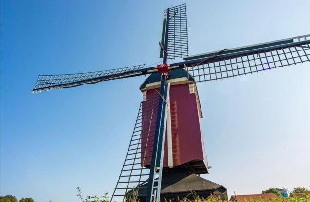 Huisje Vogelenzang Zeeland Sint Annaland Εξωτερικό φωτογραφία