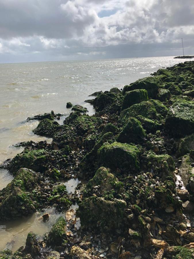 Huisje Vogelenzang Zeeland Sint Annaland Εξωτερικό φωτογραφία